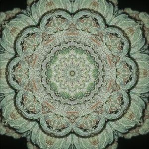 Meet your Posher, Tracy